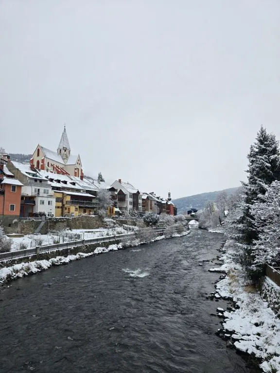 Mur river and the town of Murau in winter